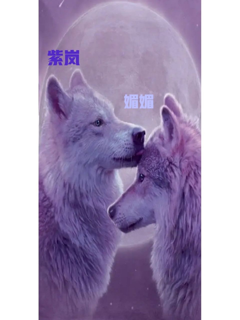 大家想要的狼王梦人物图片来啦!