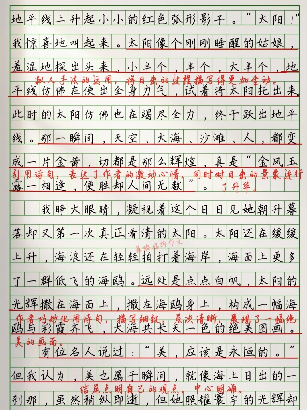 美的瞬间作文800字(美丽的瞬间作文800字优秀作文)