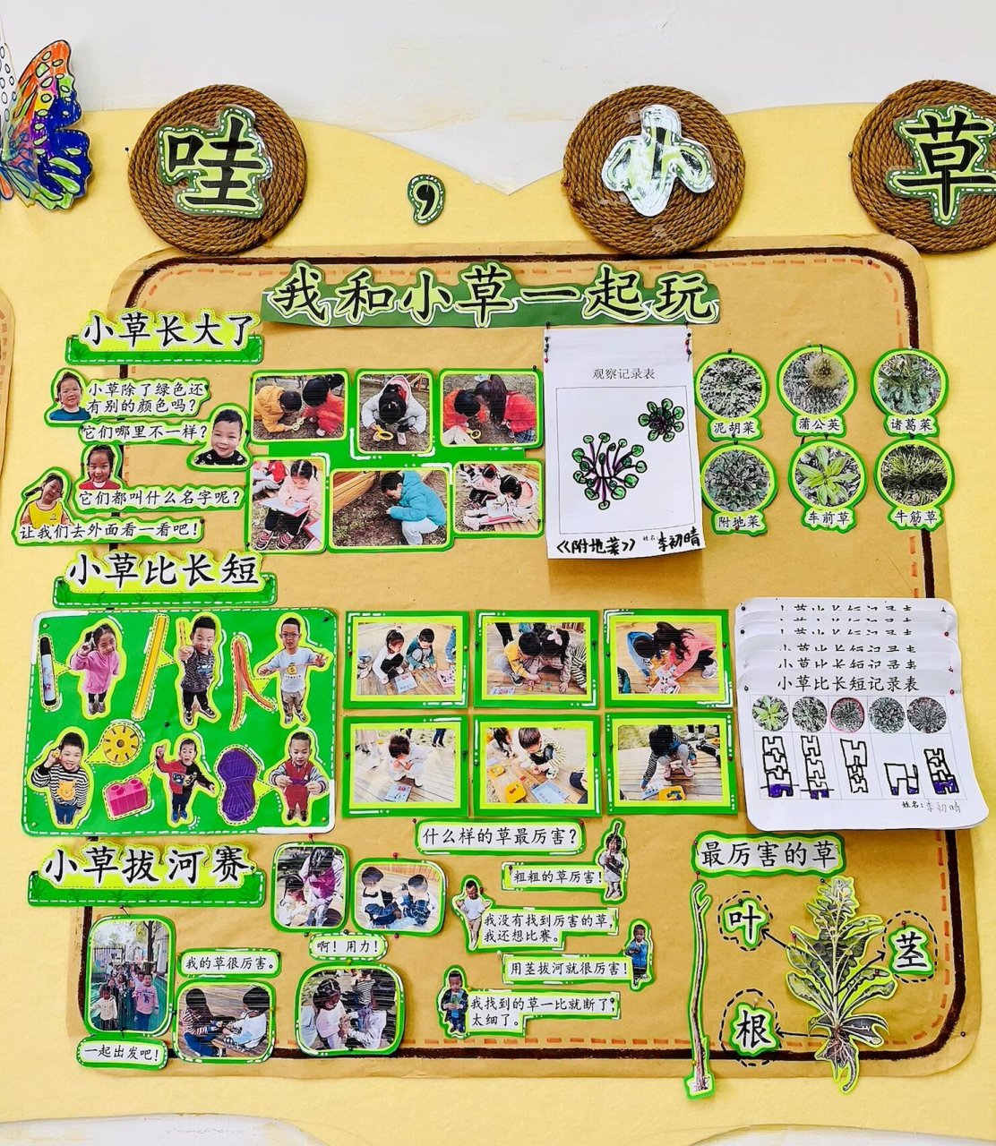 春天主题,幼儿园小草主题墙,小草环创 青青小草是春天的使者,绿色生命