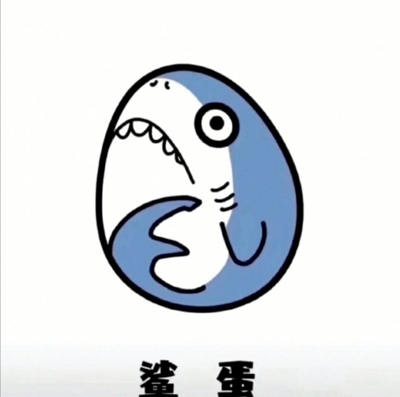 头像|鲨鱼系列 鲨鱼系列可爱搞笑头像,恶搞鲨鱼00!93si!