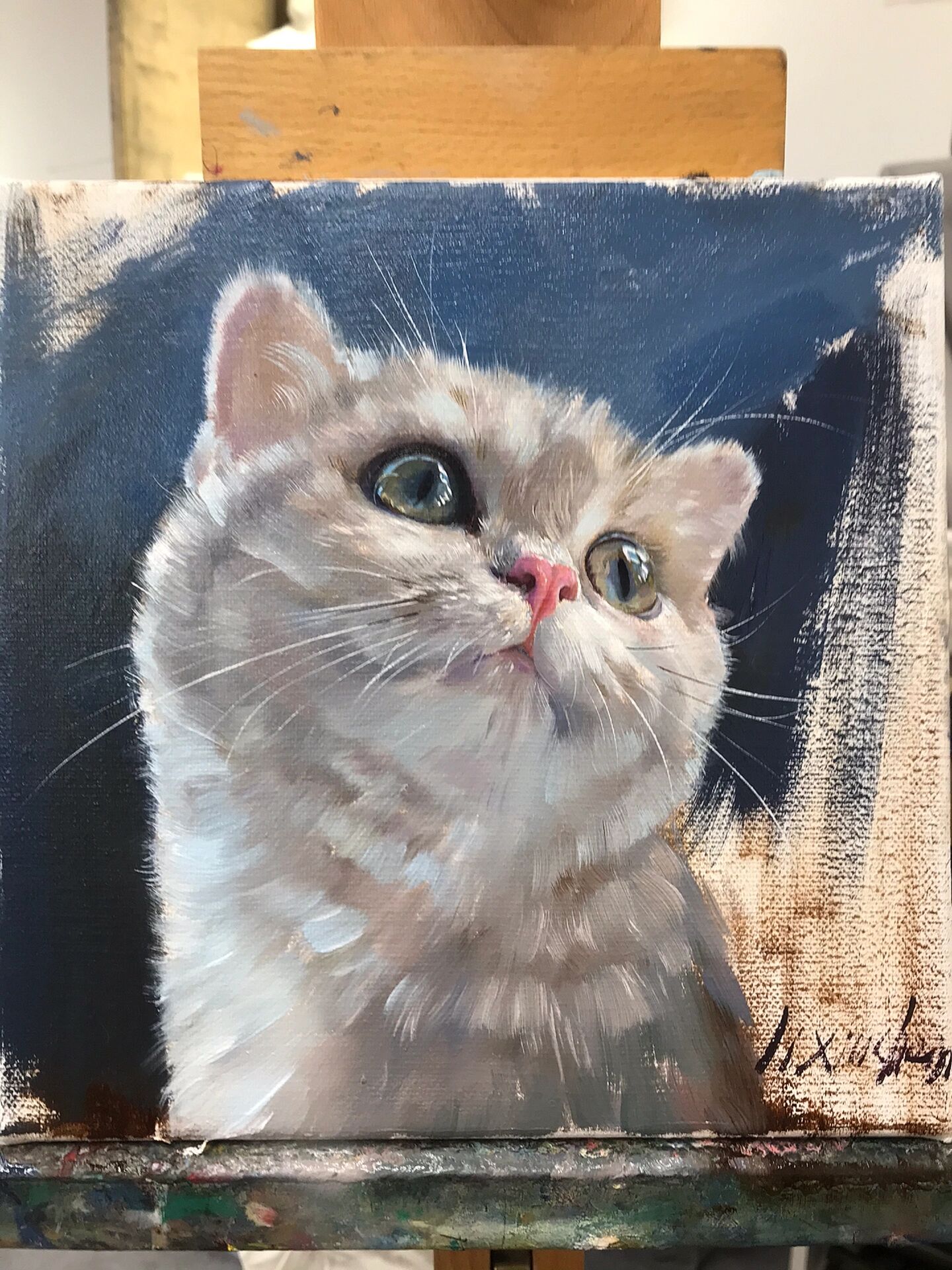 油画动物/猫咪步骤图