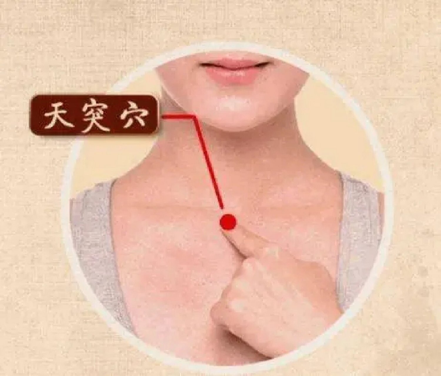 穴位认识-天突穴 天突穴