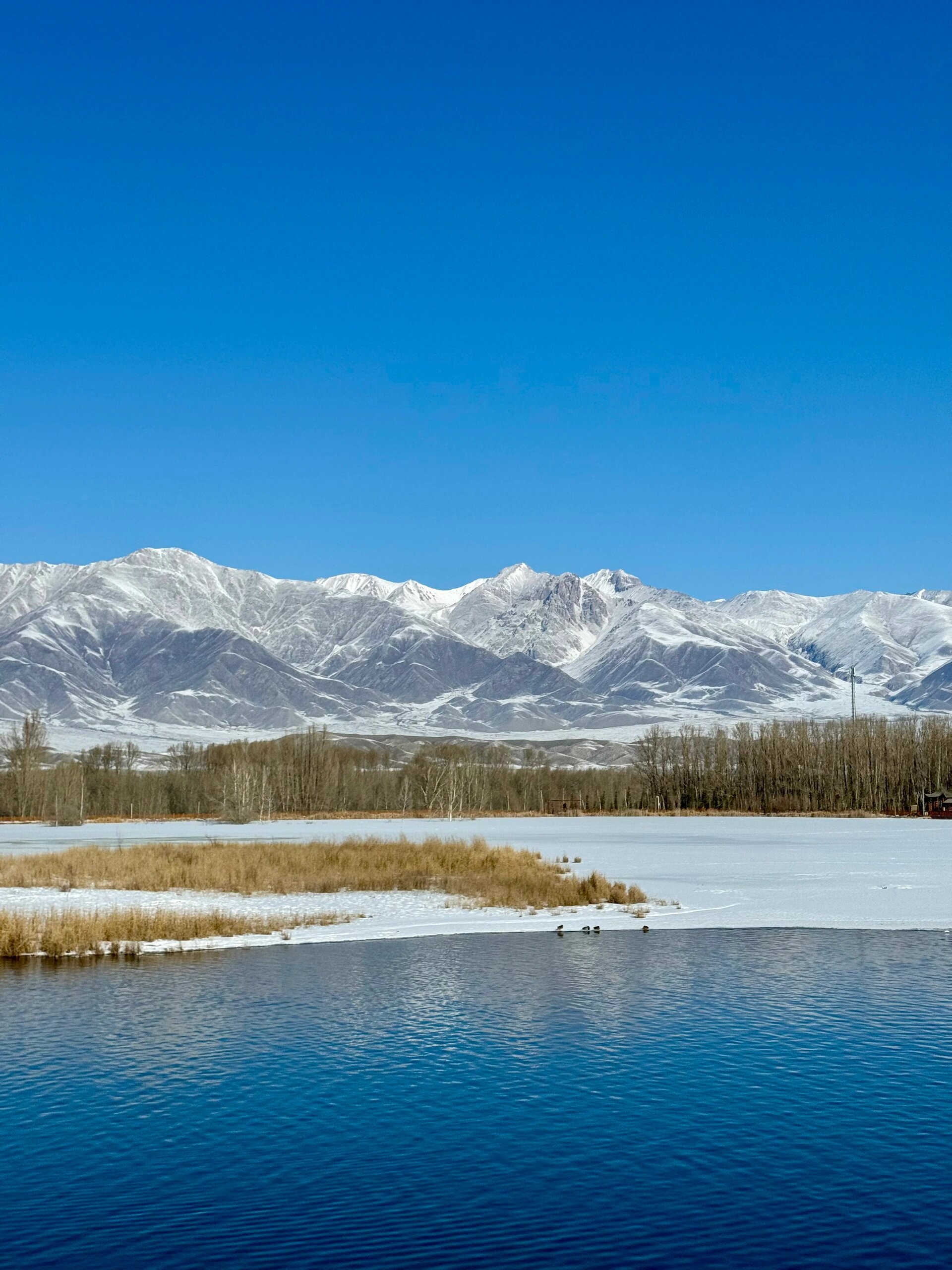 5温泉县 这是一座清静冷门的新疆小县城, 这里博尔塔拉河从阿拉套山脉