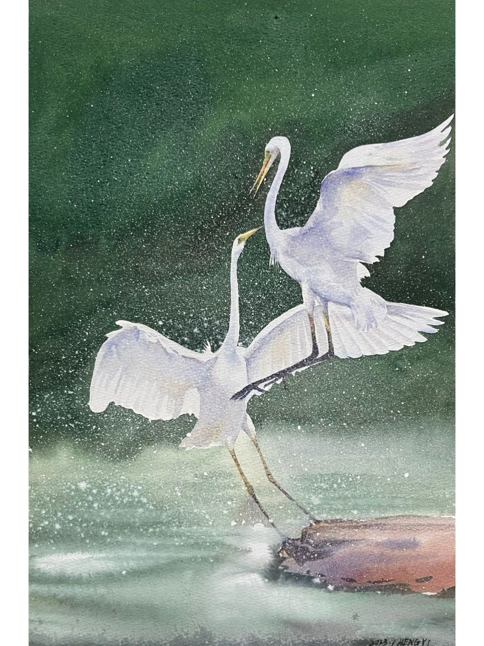 水彩《白鹭双飞》绘画步骤