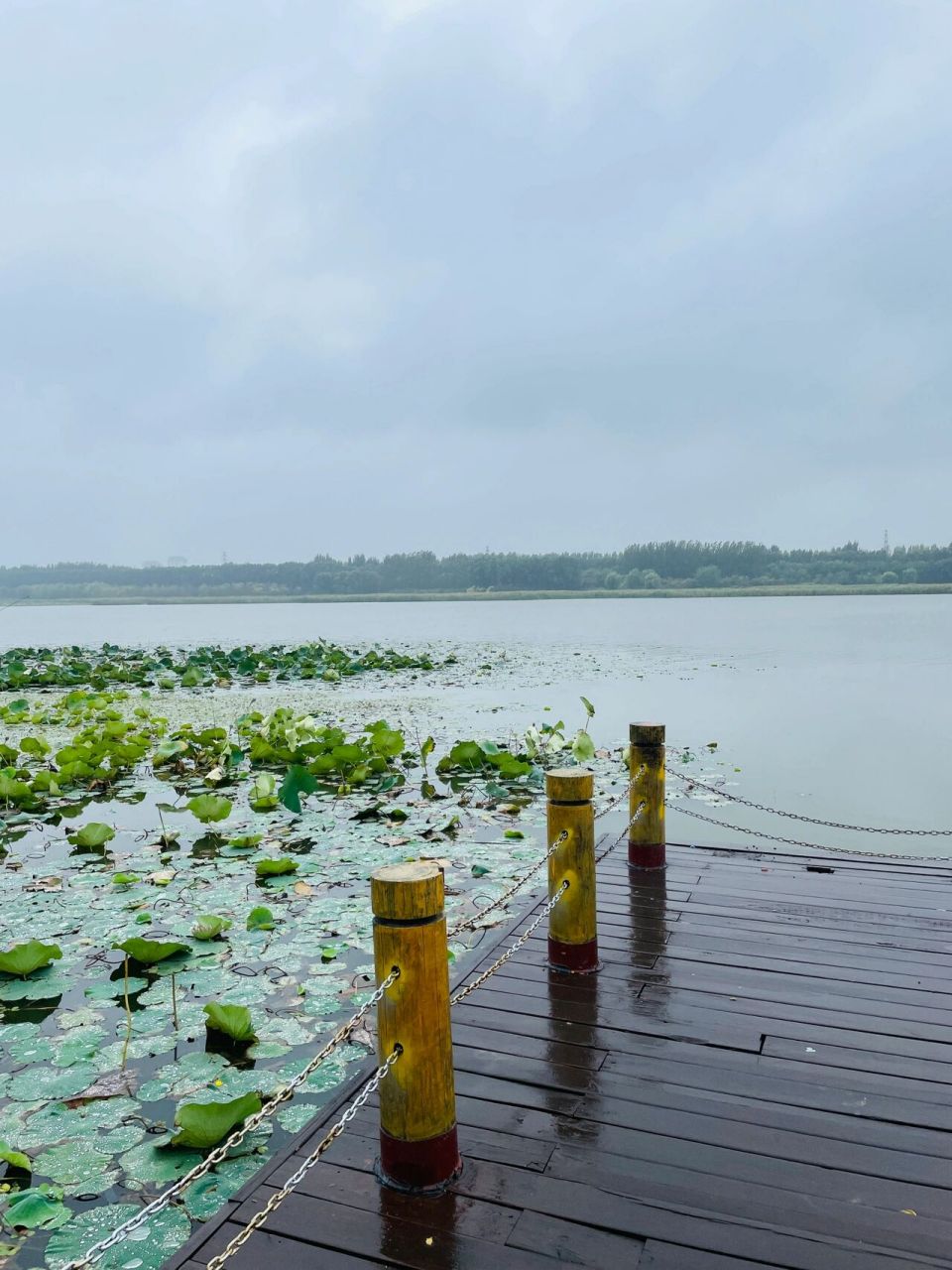 潮白河国家湿地公园