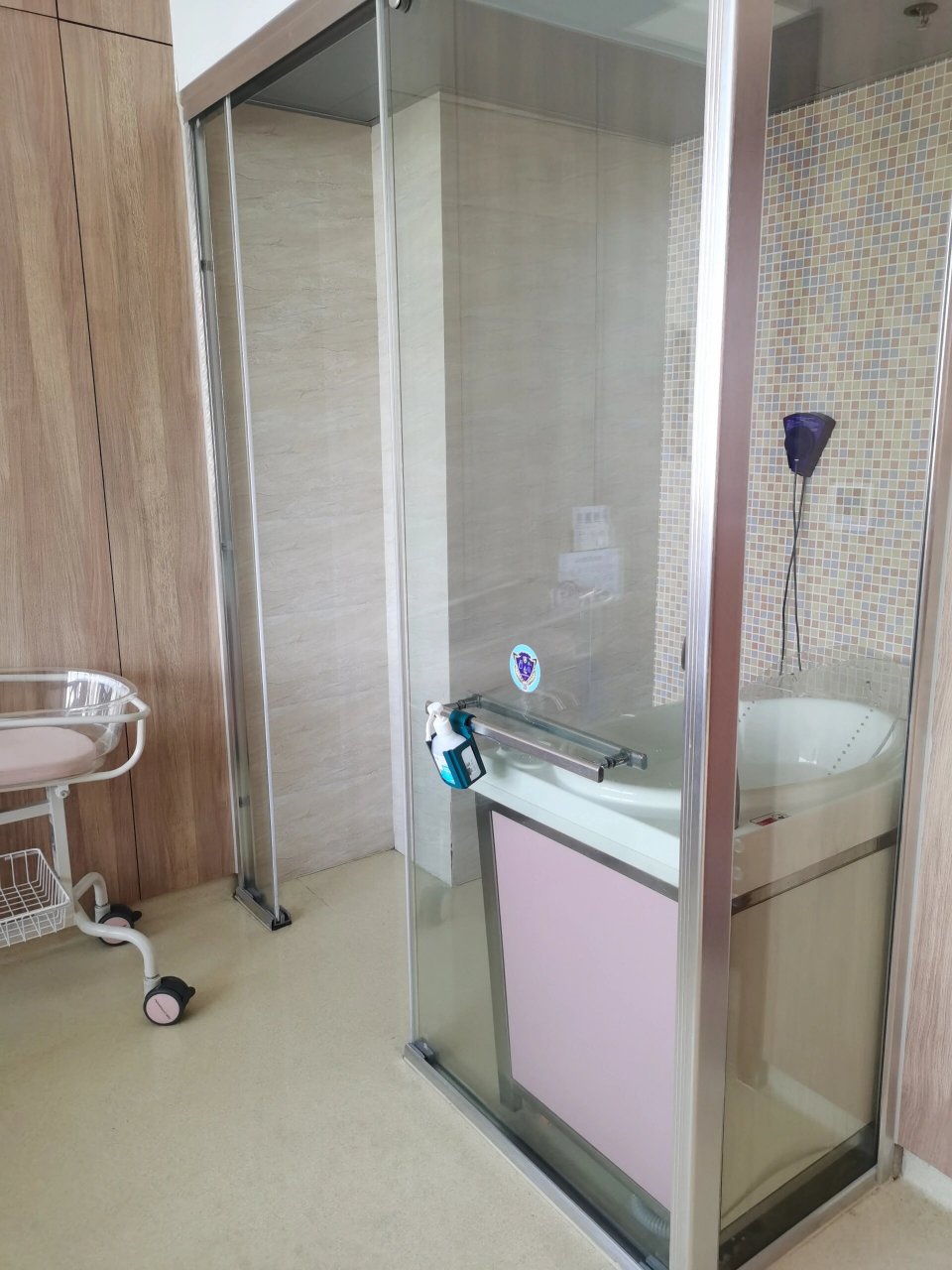 妇幼宝家庭一体化产房(ldr)优缺点 坐标:临平妇幼宝, 优点:家庭一体化