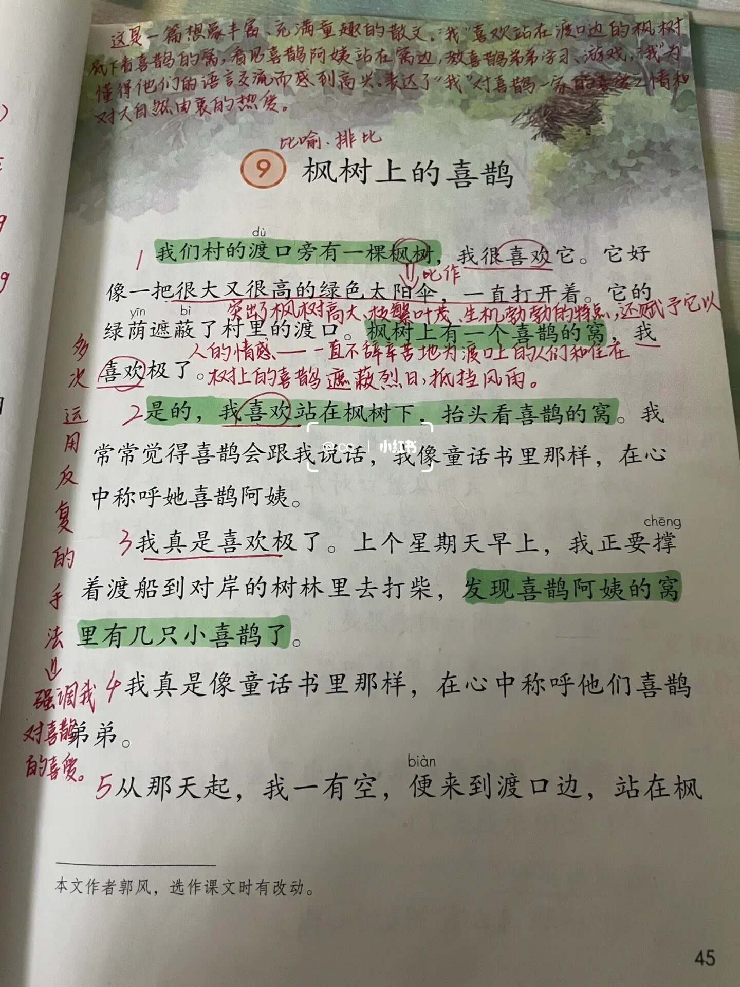 二年级下册语文第四单元9《枫树上的喜鹊》