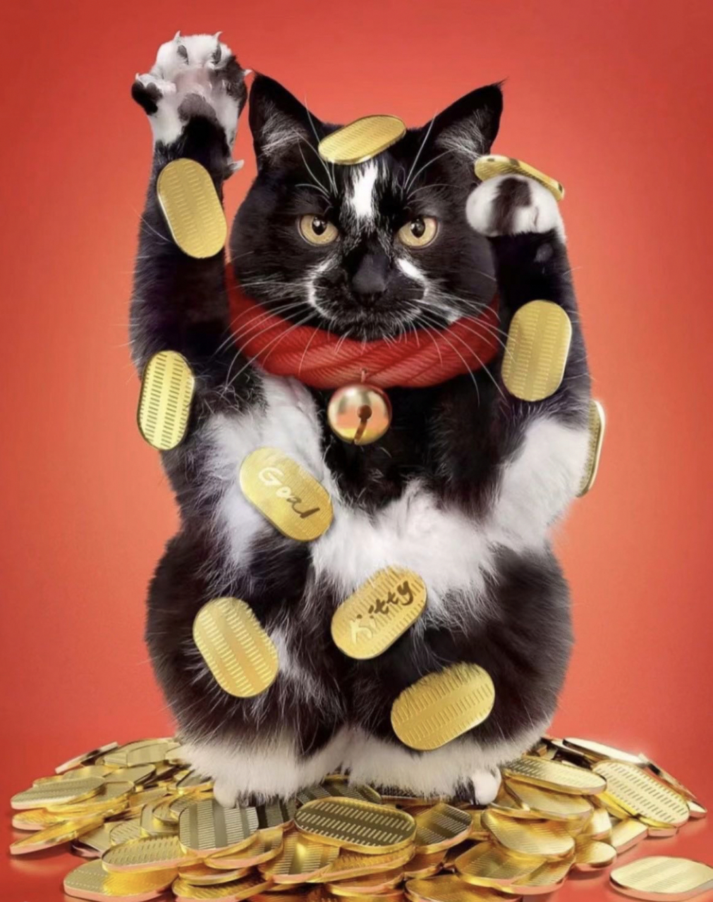恭喜发财93有趣的招财猫手机壁纸 我家宠物好可爱