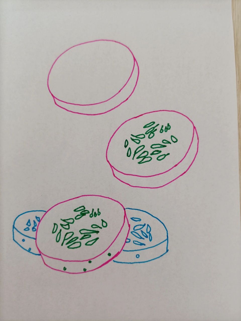 简笔画(266)黄瓜 坚持,加油^0^~!