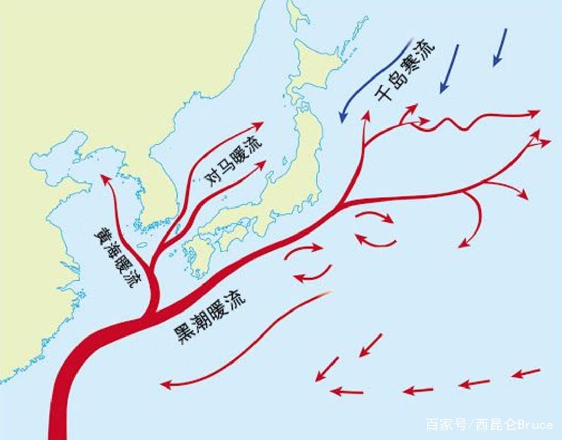 3吨储存水通过排水口泄漏入海. 月城核电站位于韩国东南部的庆州市.