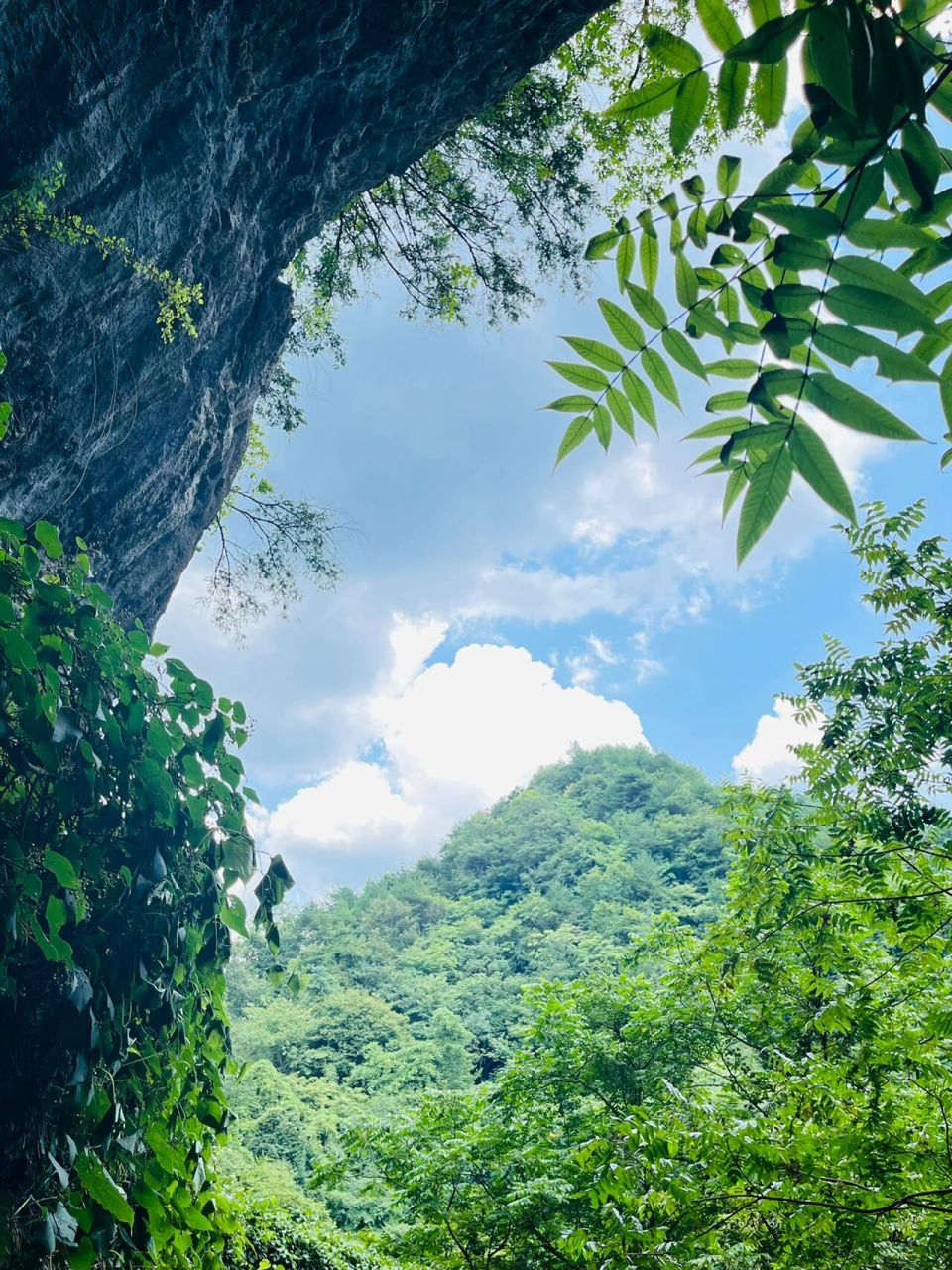 曾家山纳凉景点打卡:川洞庵天坑 地点96:四川省广元市朝天区曾家山