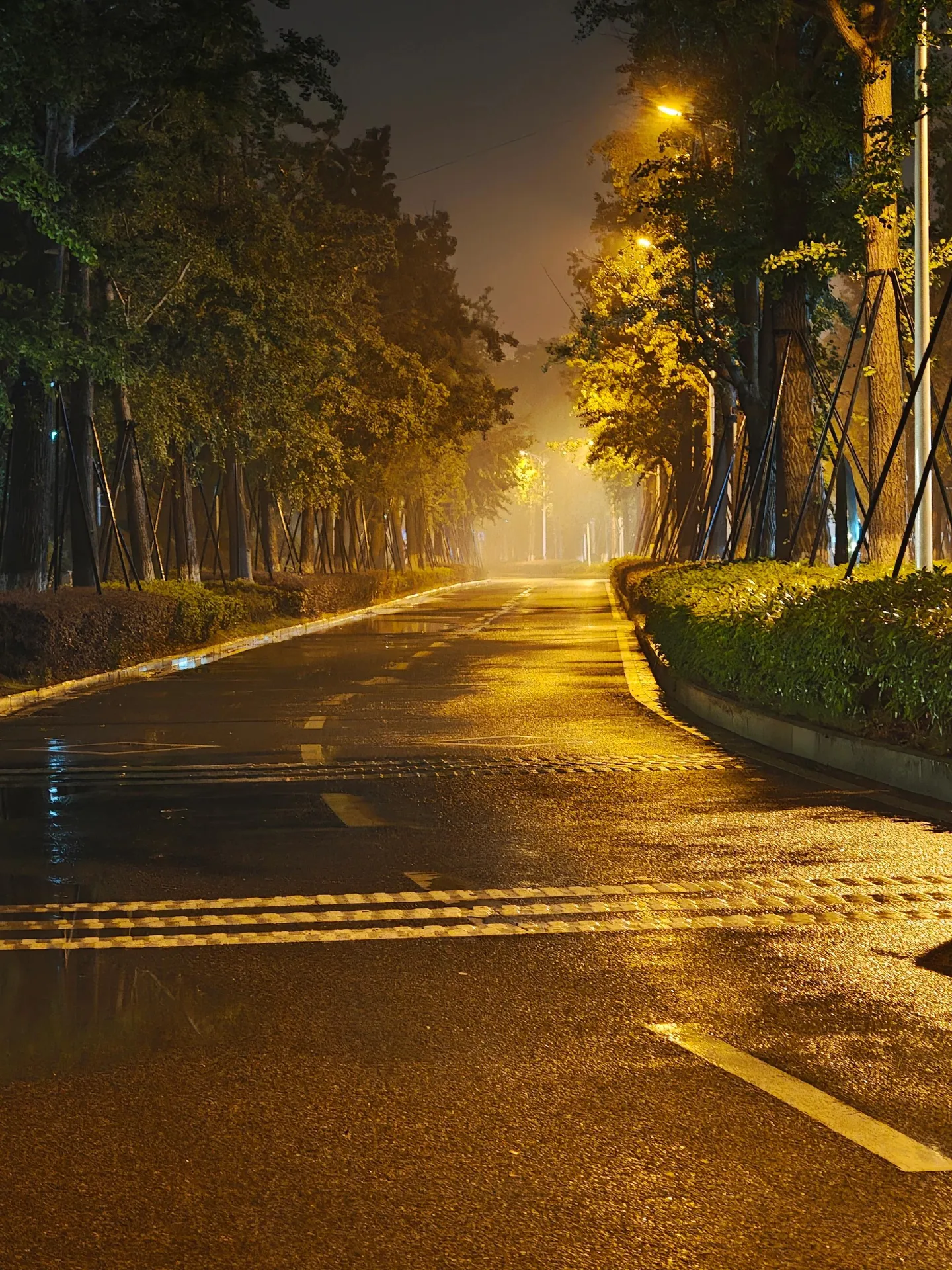 缘分就是妙不可言,有些人会突然出现在面前的