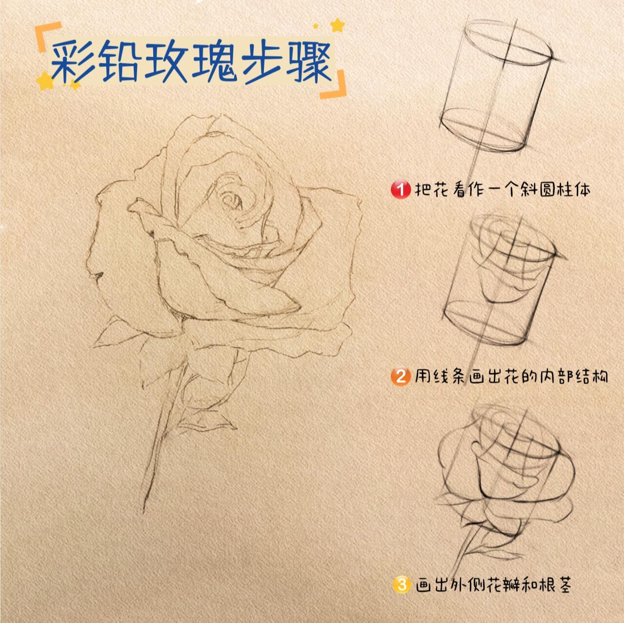 95玫瑰花|手绘步骤分享|一起画画