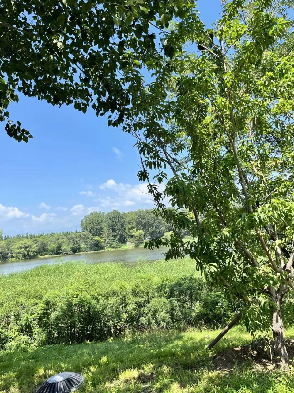 北京市延庆区世博园 也叫世园公园,二刷,天气太热,基本还是按照几年前