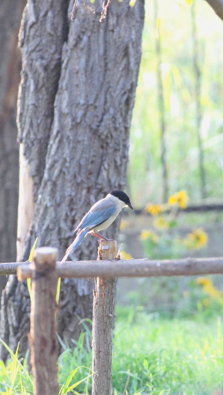 滨医随手拍#  春天,像一篇巨制的骈俪文;而夏天,像一首绝句.