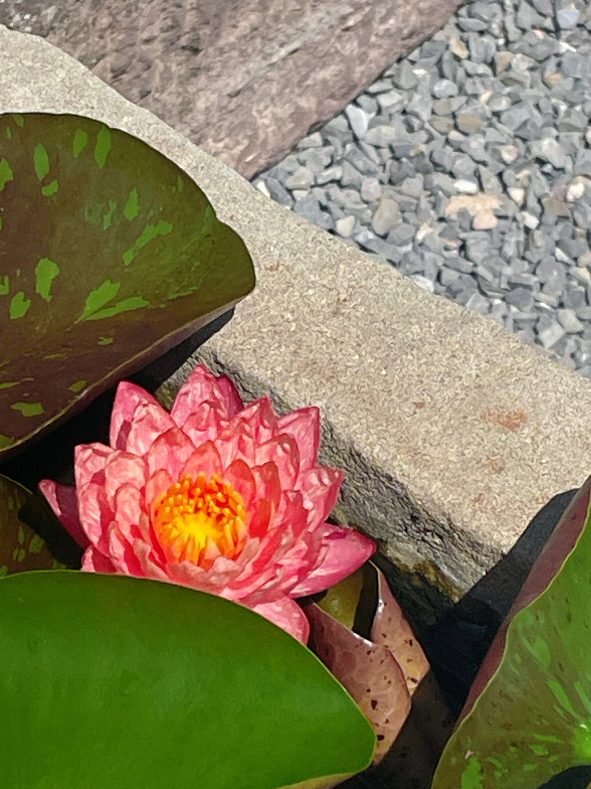 当阳人每年必逛景点-玉泉寺