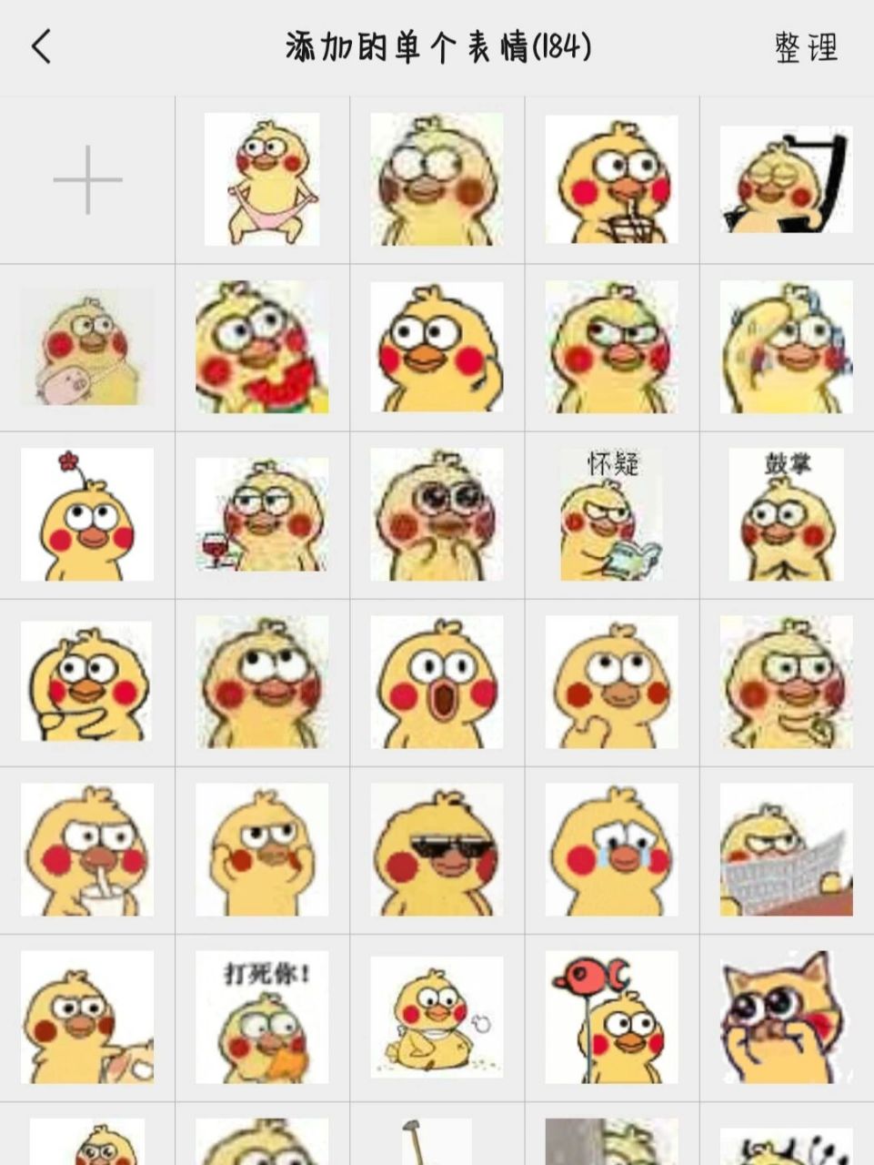 小黄鸭表情包 啊这我一直以为是小黄鸭 今天姐妹告诉我这是鹦鹉兄弟