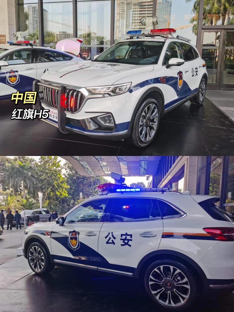 各国警车大全图片