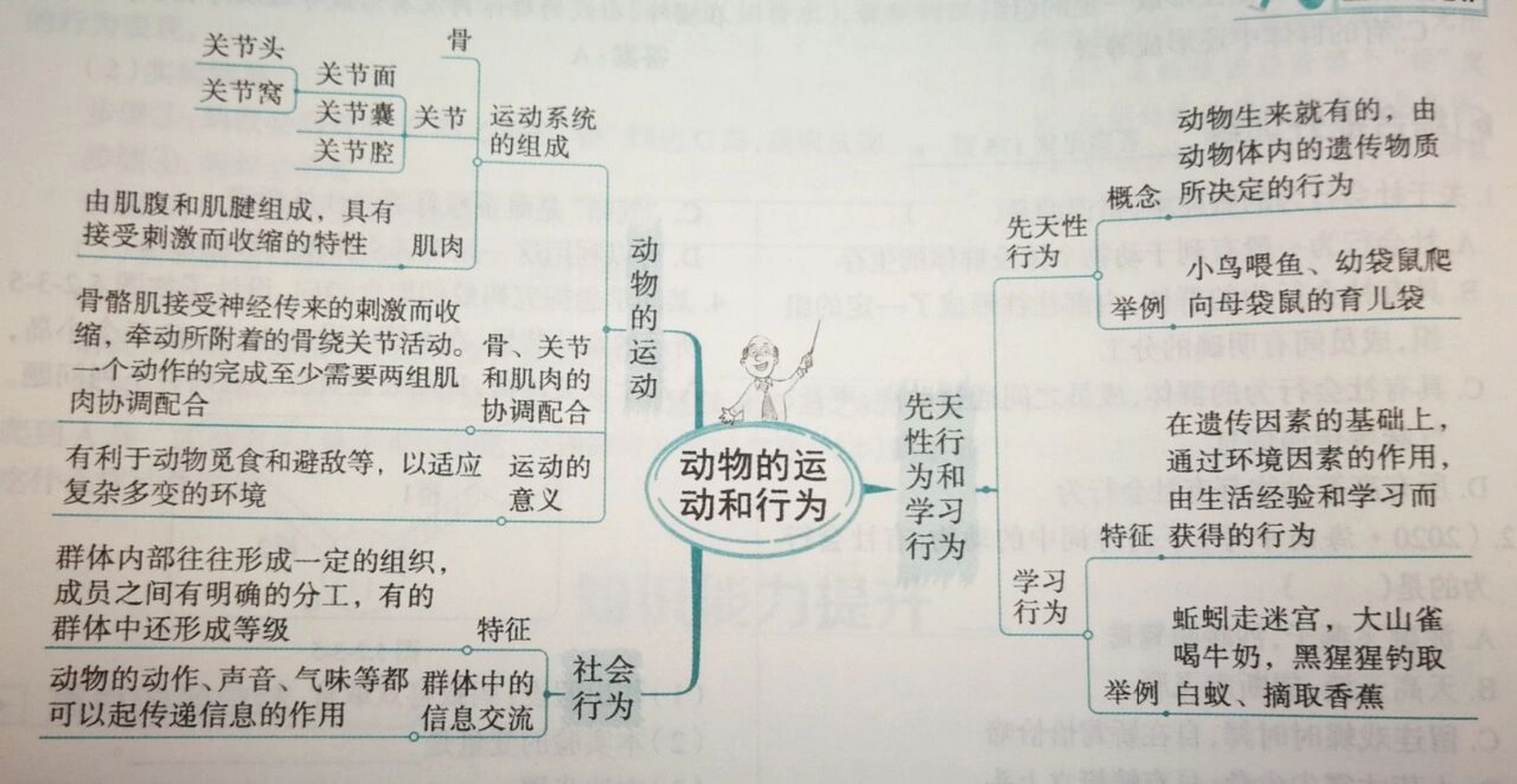 八年级上册生物思维导图 这是第二单元的思维导图 课时总结 章节总结.