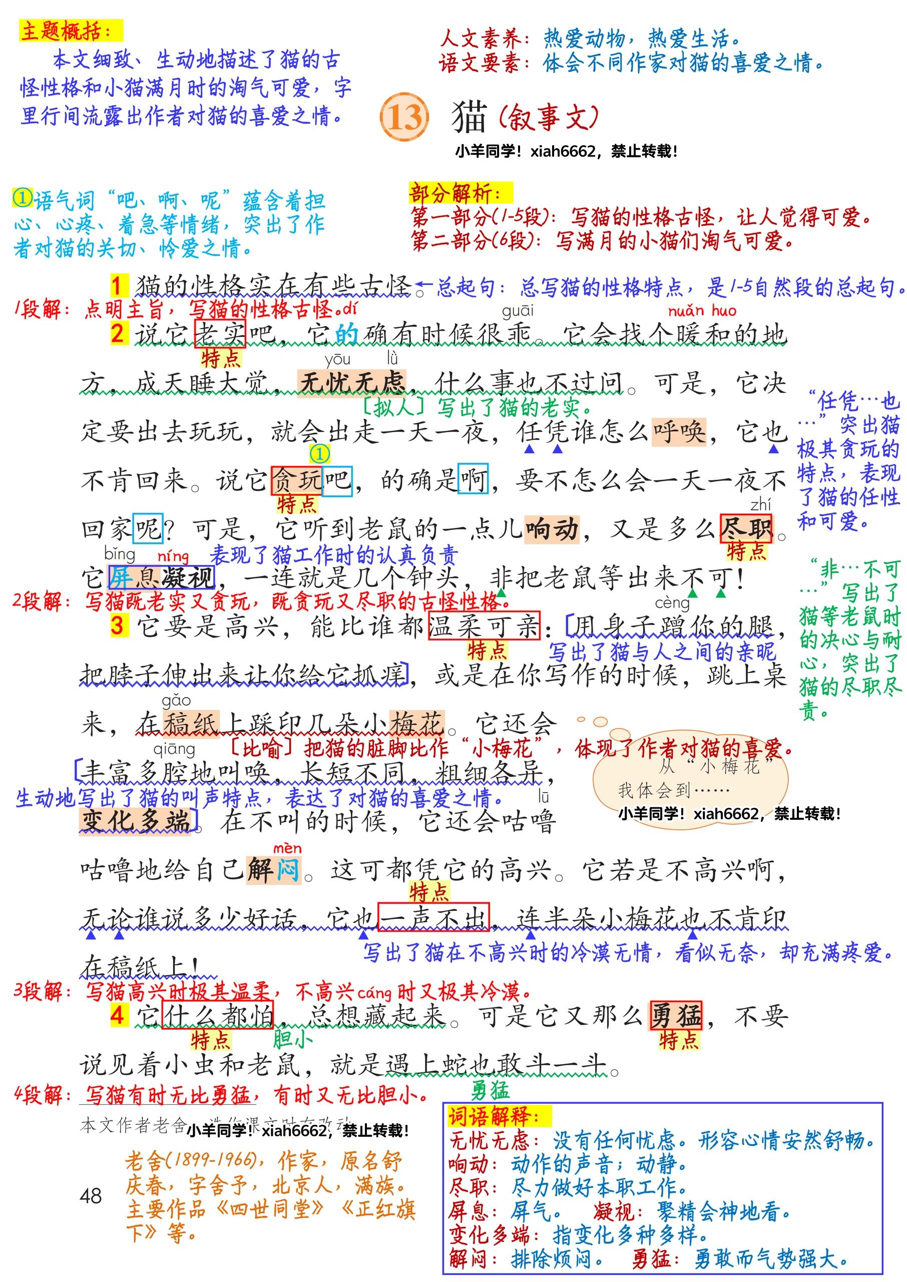 四年级下册78第13课《猫》学习笔记