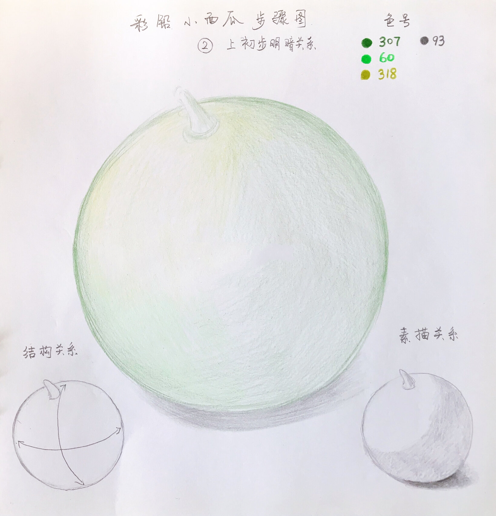 彩铅画 西瓜步骤教学 深度解析