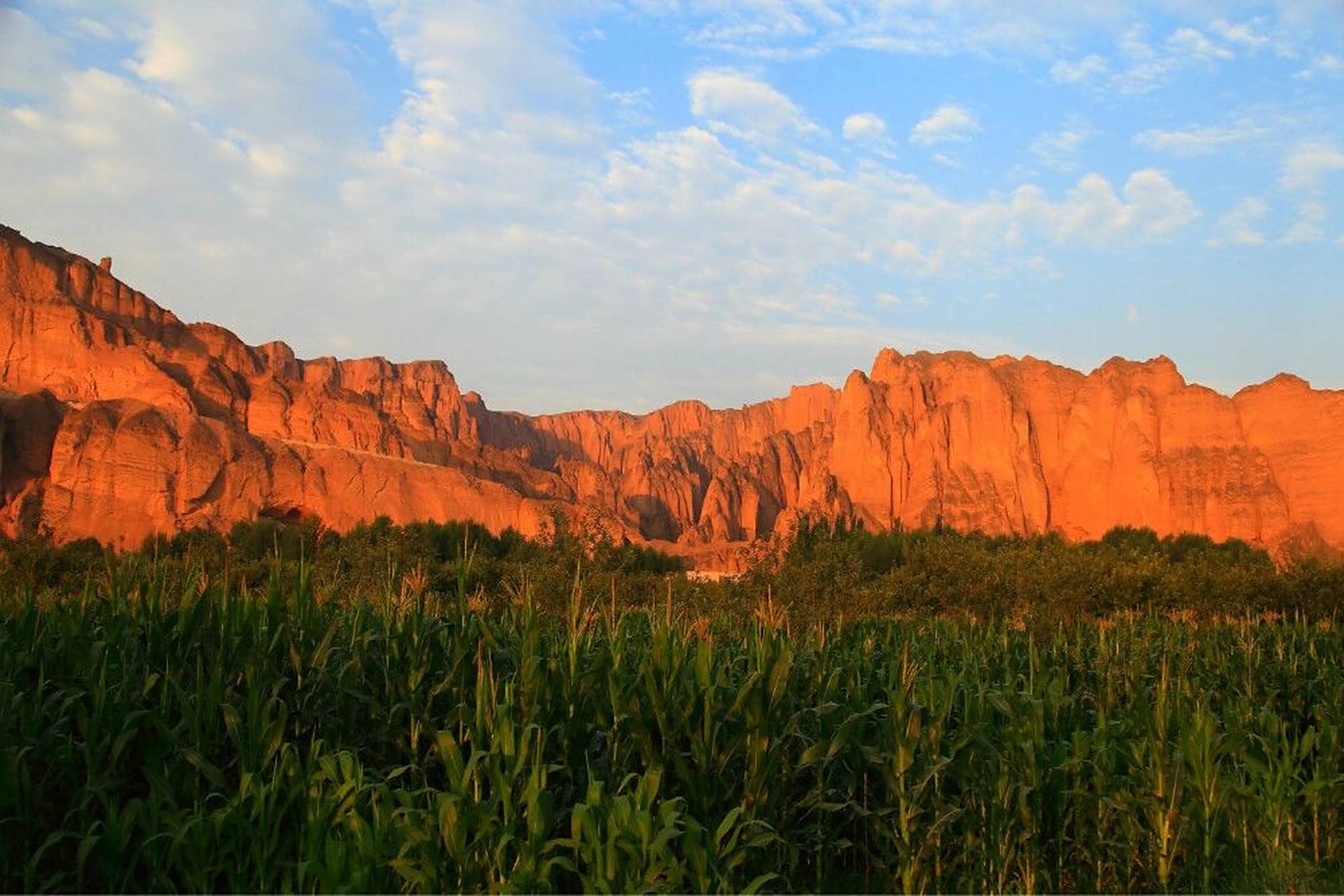 甘肃白银黄河石林最全攻略(收藏) 景泰黄河石林,耸立的石峰,悠悠的
