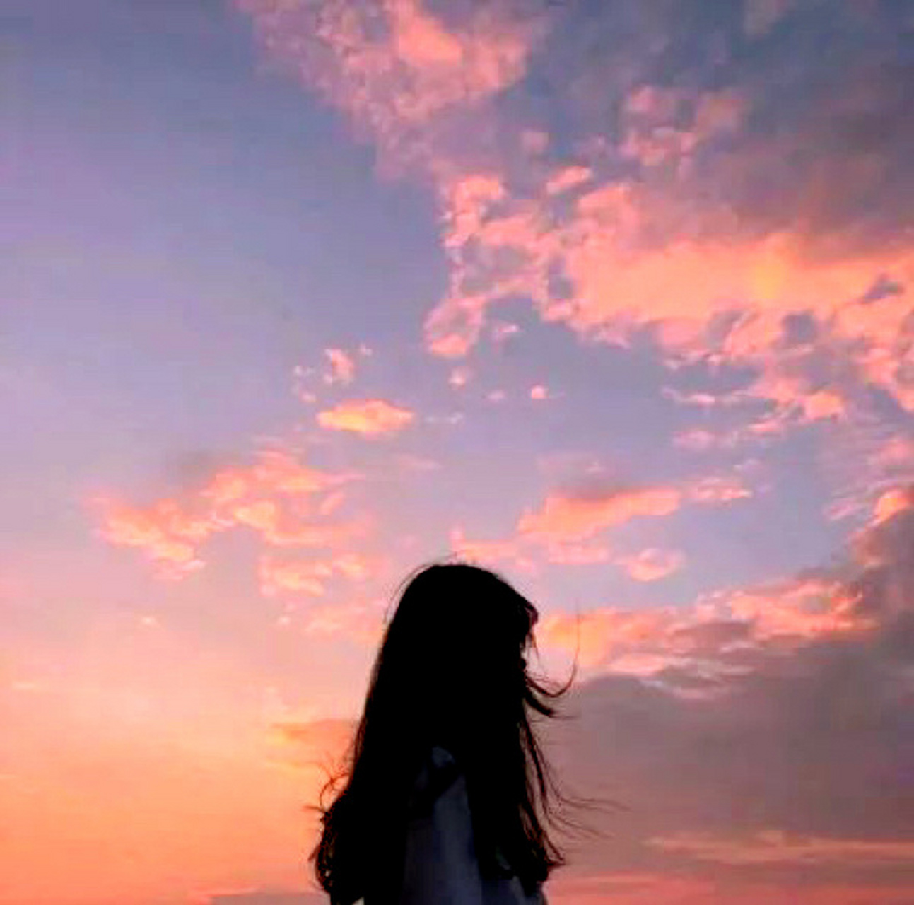 女生背影头像 喜欢的点个赞,要图自取 图片来源于网络,不喜勿喷