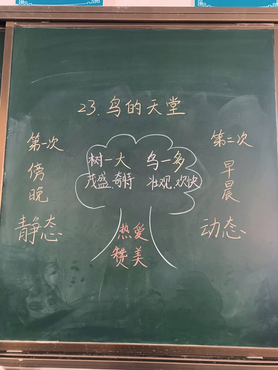 板书设计|五上语文23课 鸟的天堂 难得勤快,其实板书是很重要,思路