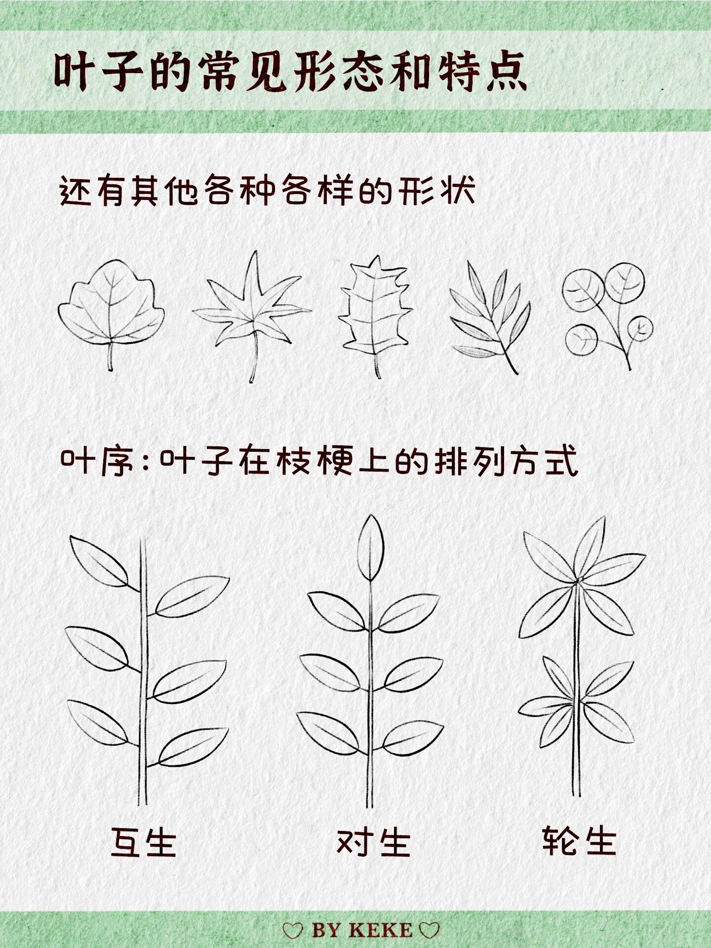 花的笔记📒