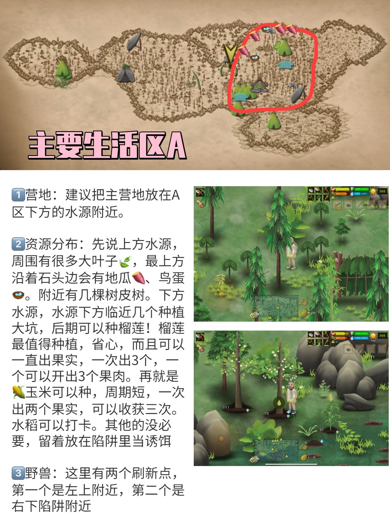 挨饿荒野泰国丛林攻略