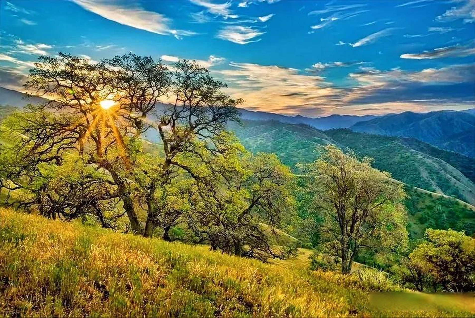 摘录:一个人为了摆脱单调,必须使存在单调化.