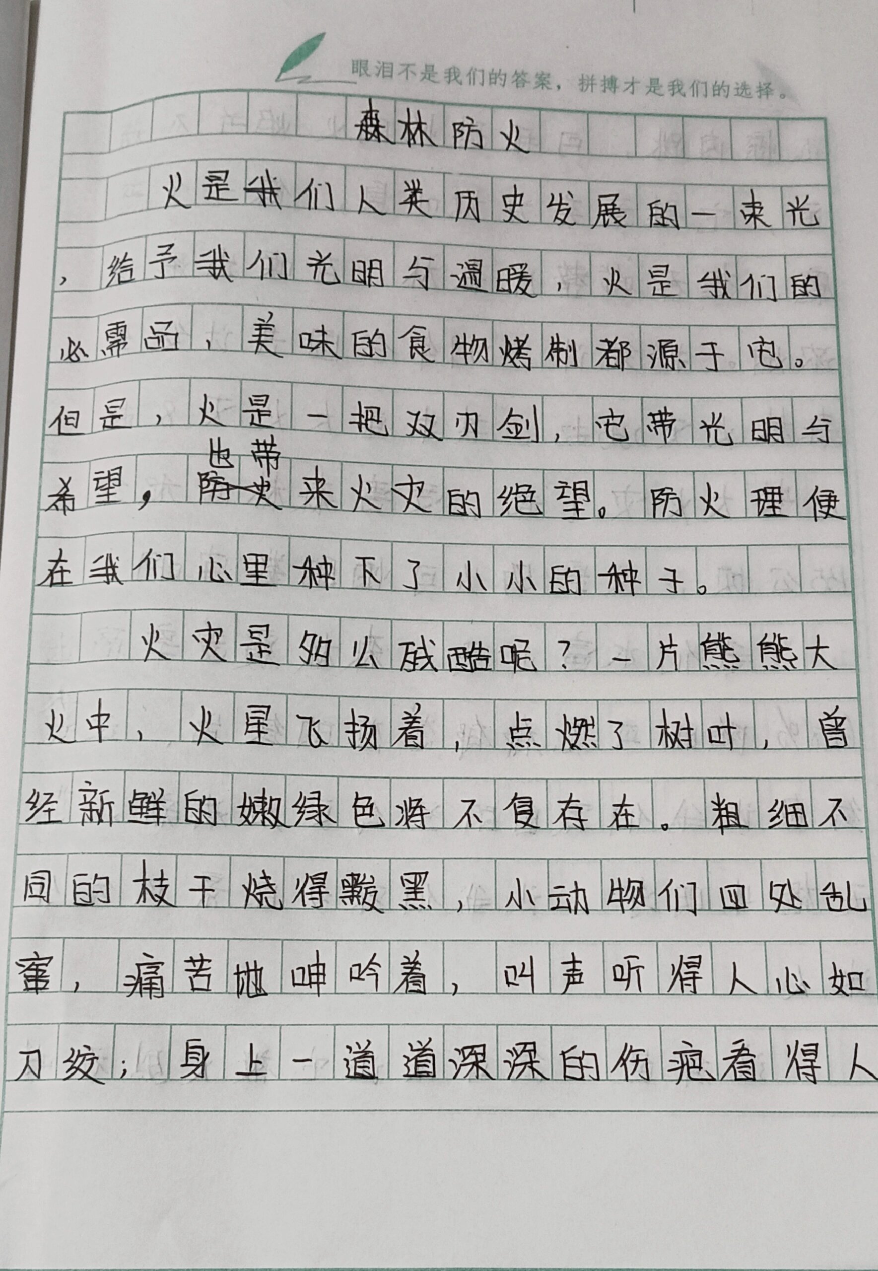 防火作文1000字图片