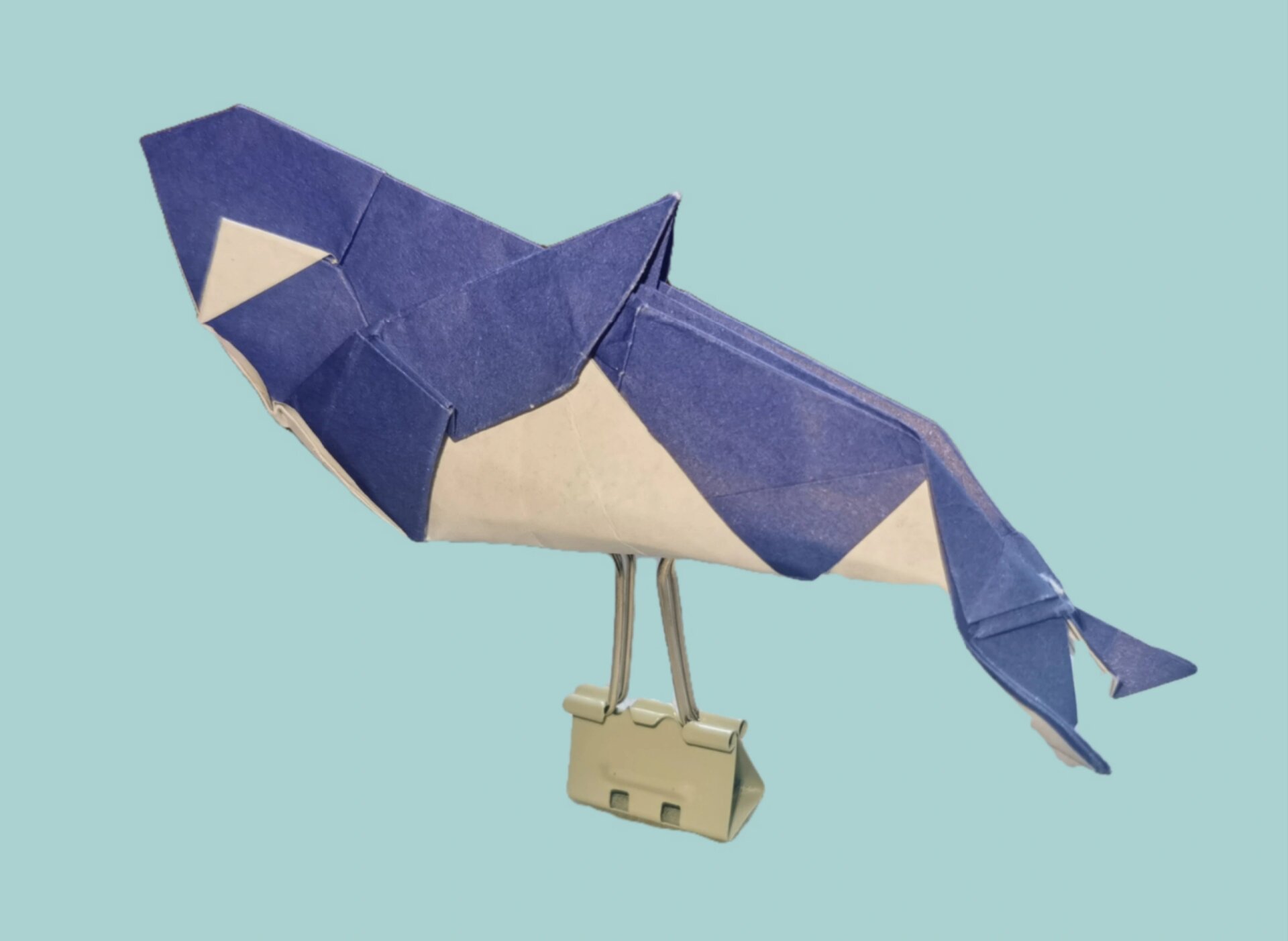 折纸——《虎鲸》