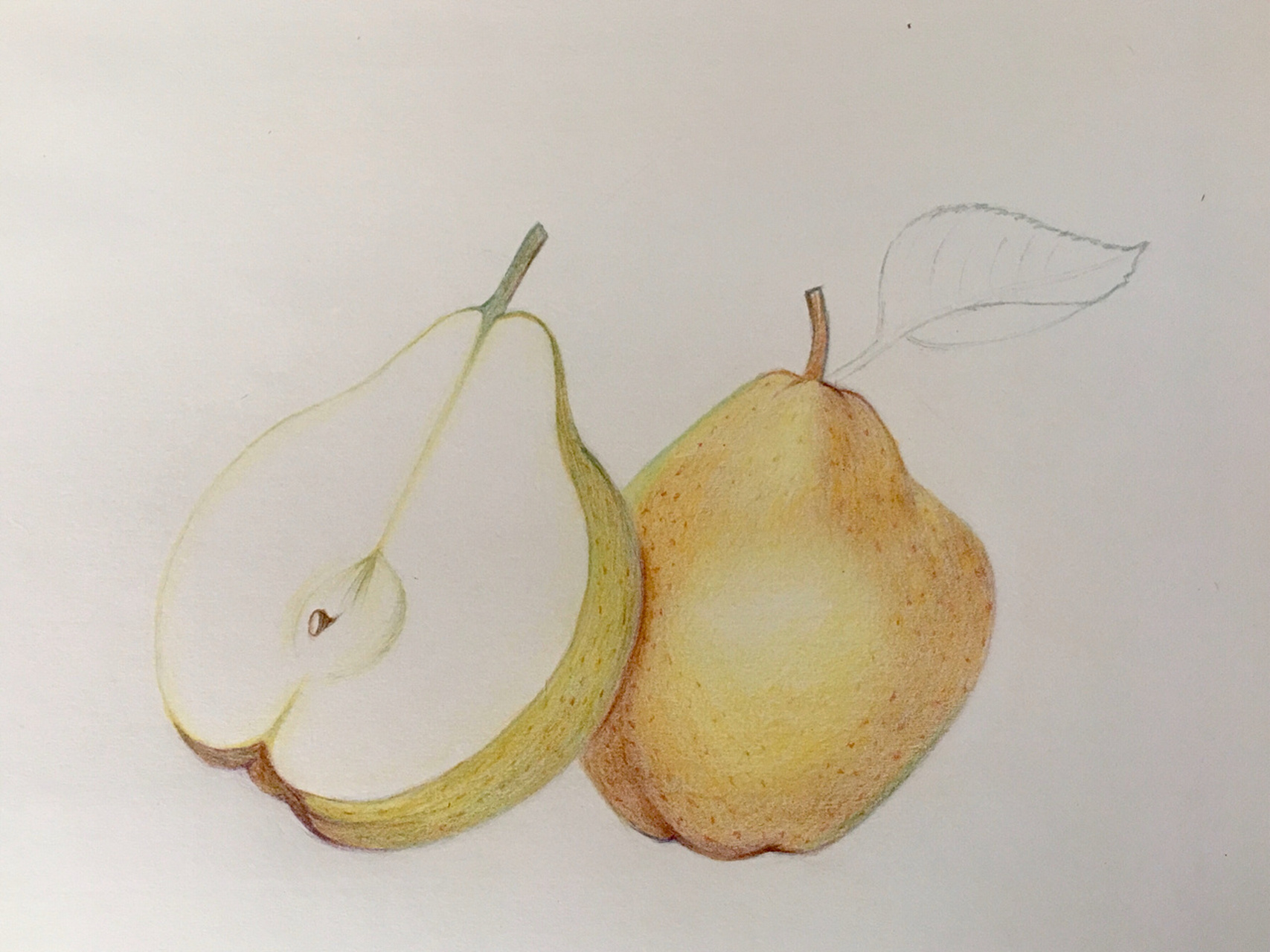 这几天买的画纸还没有到,就在整理以前画的彩铅,这个梨比较适合初学者