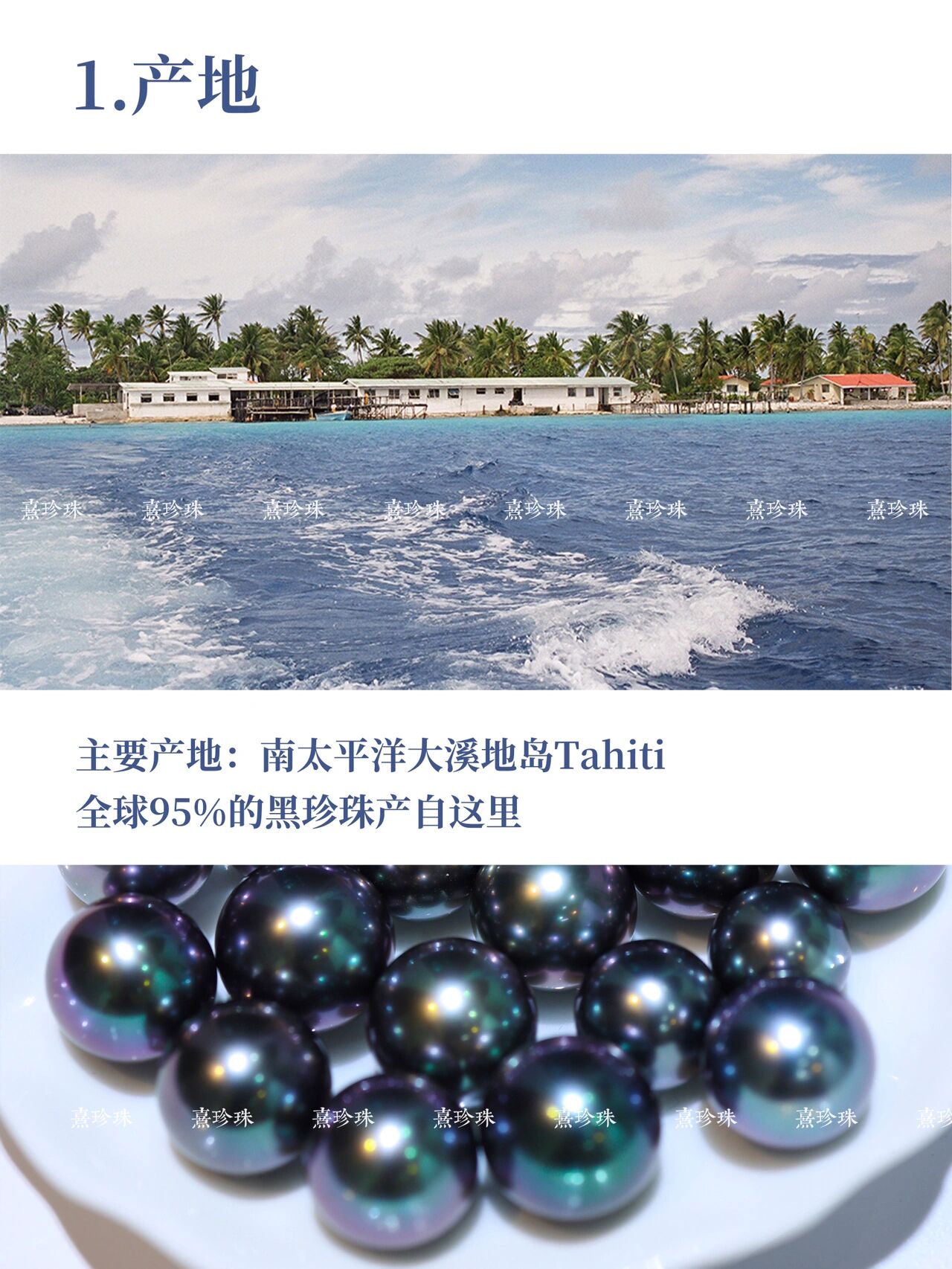 一篇秒懂 大溪地黑珍珠入门详解6015附价格表 大溪地黑珍珠产自黑