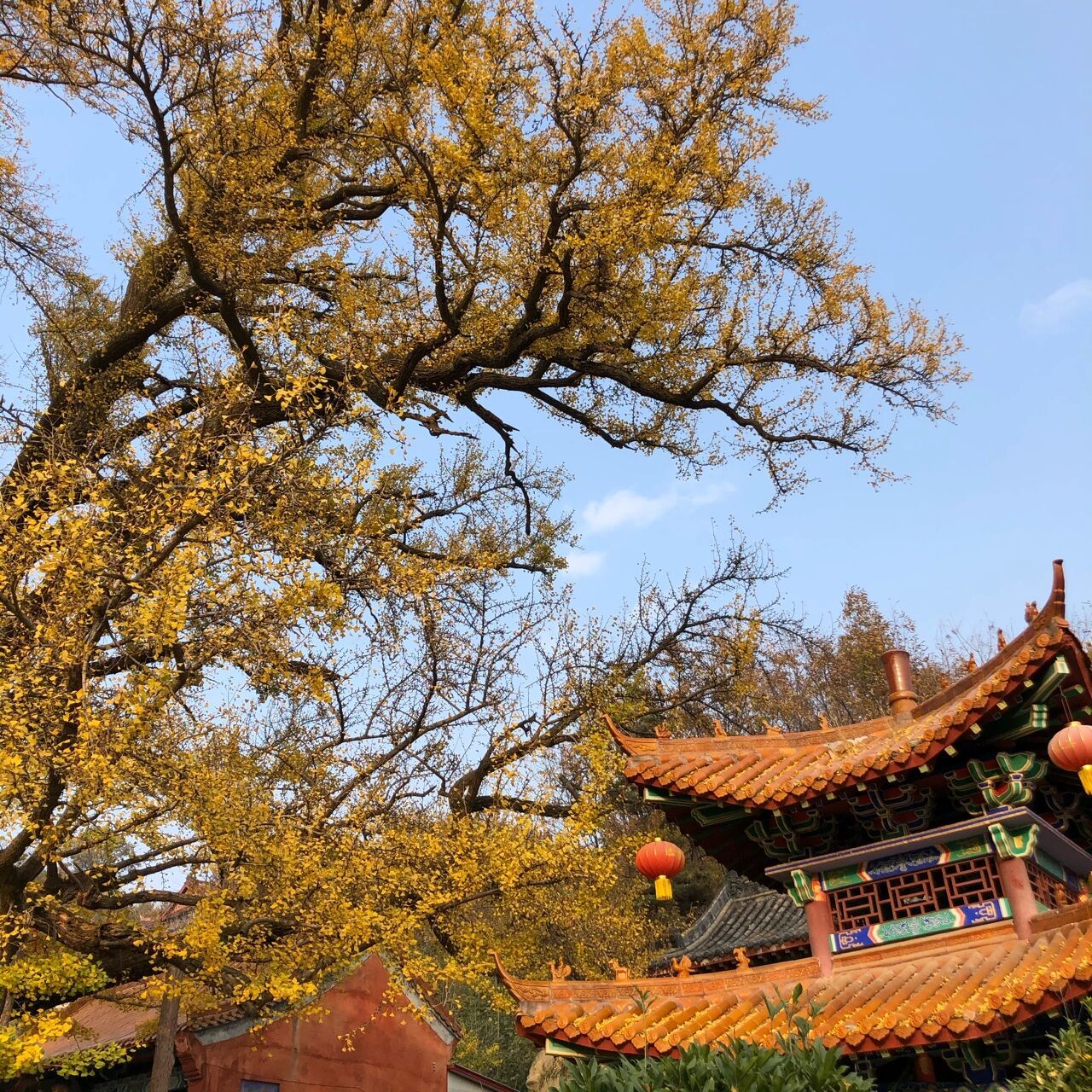 文殊寺|河南平顶山秋日限定94 99河南省平顶山市鲁山县西南部的四