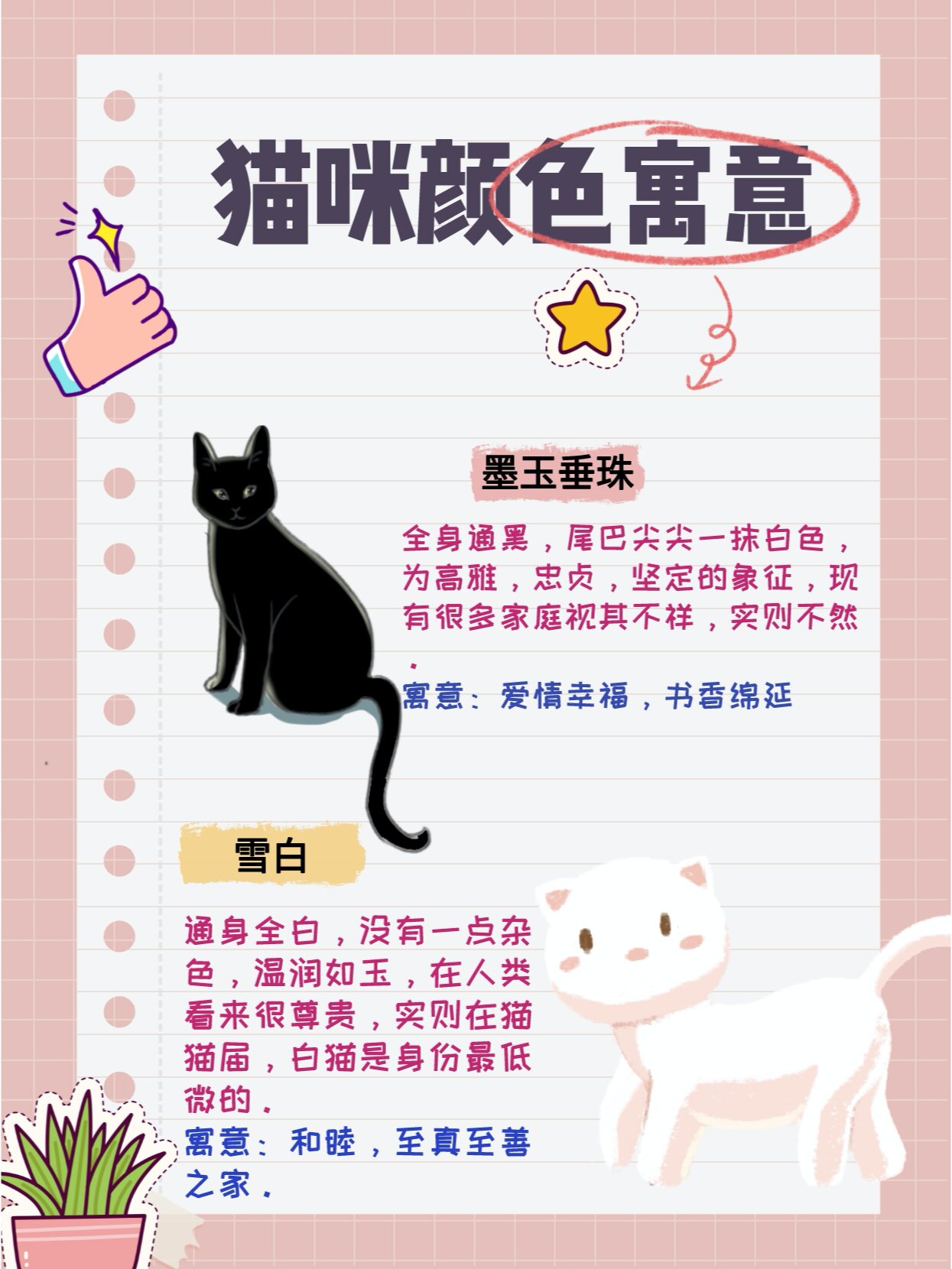 猫咪颜色寓意93 93墨玉垂珠 全身通黑,尾巴尖尖一抹白色,为高雅