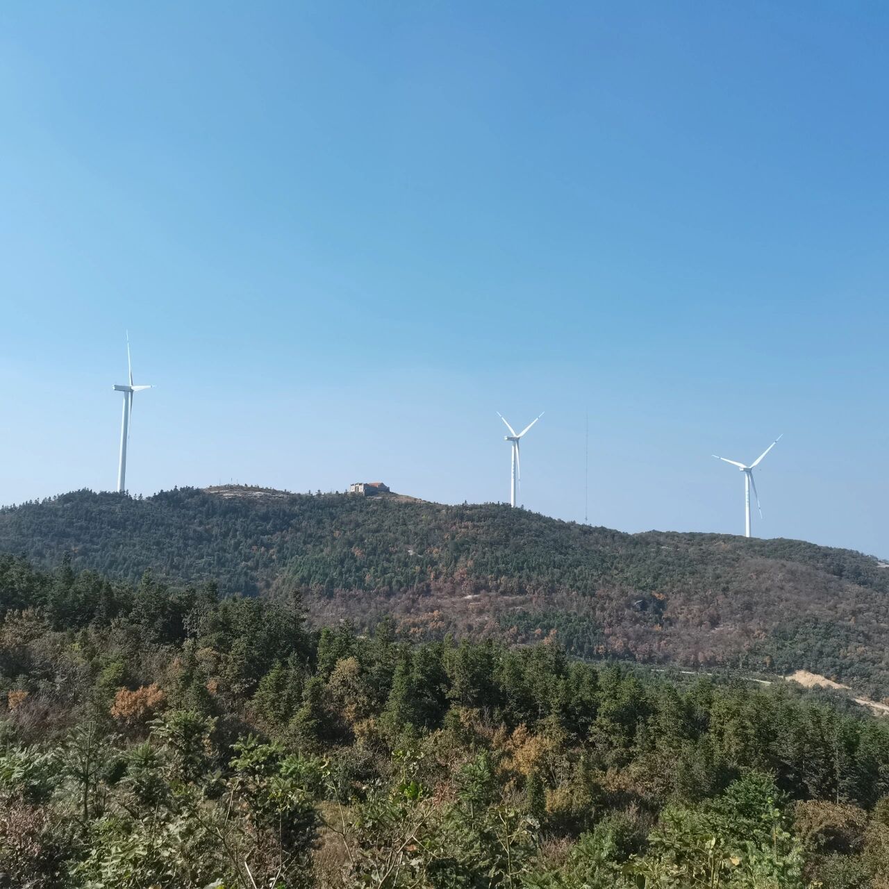 大悟山秋风景篇