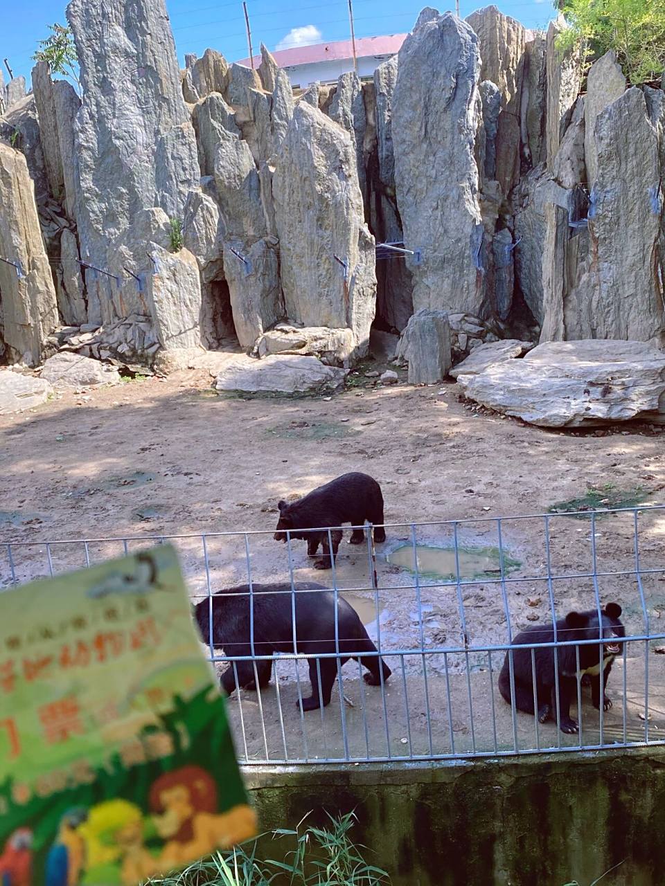 盘锦打卡|辽河湿地动物园 门票99:某团,某程,某众上都是48.门口50.