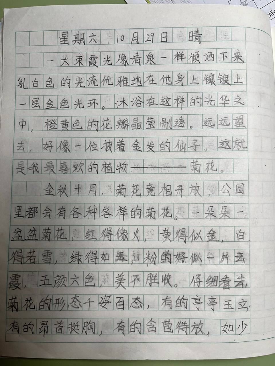 秋天的花—-菊花 三年级上作文 第一次写植物,植物要写一个范本可以