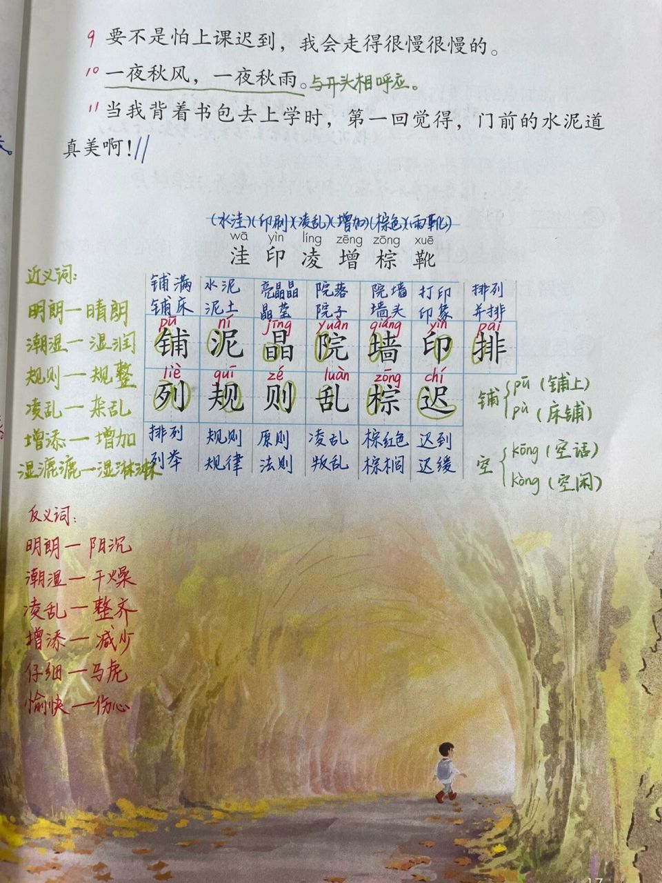 部编版语文三上5.铺满金色巴掌的水泥道