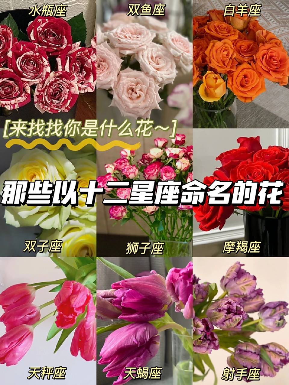 原来这些花是以十二星座命名的 十二星座专属本命花,来找找你的星座是