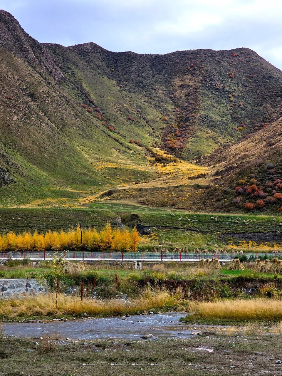 兰州周边99天互公路秋景大赏 这条天祝到互助的公路,短短几十公里