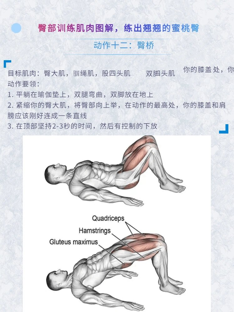 男士臀部肌肉锻炼方法图片