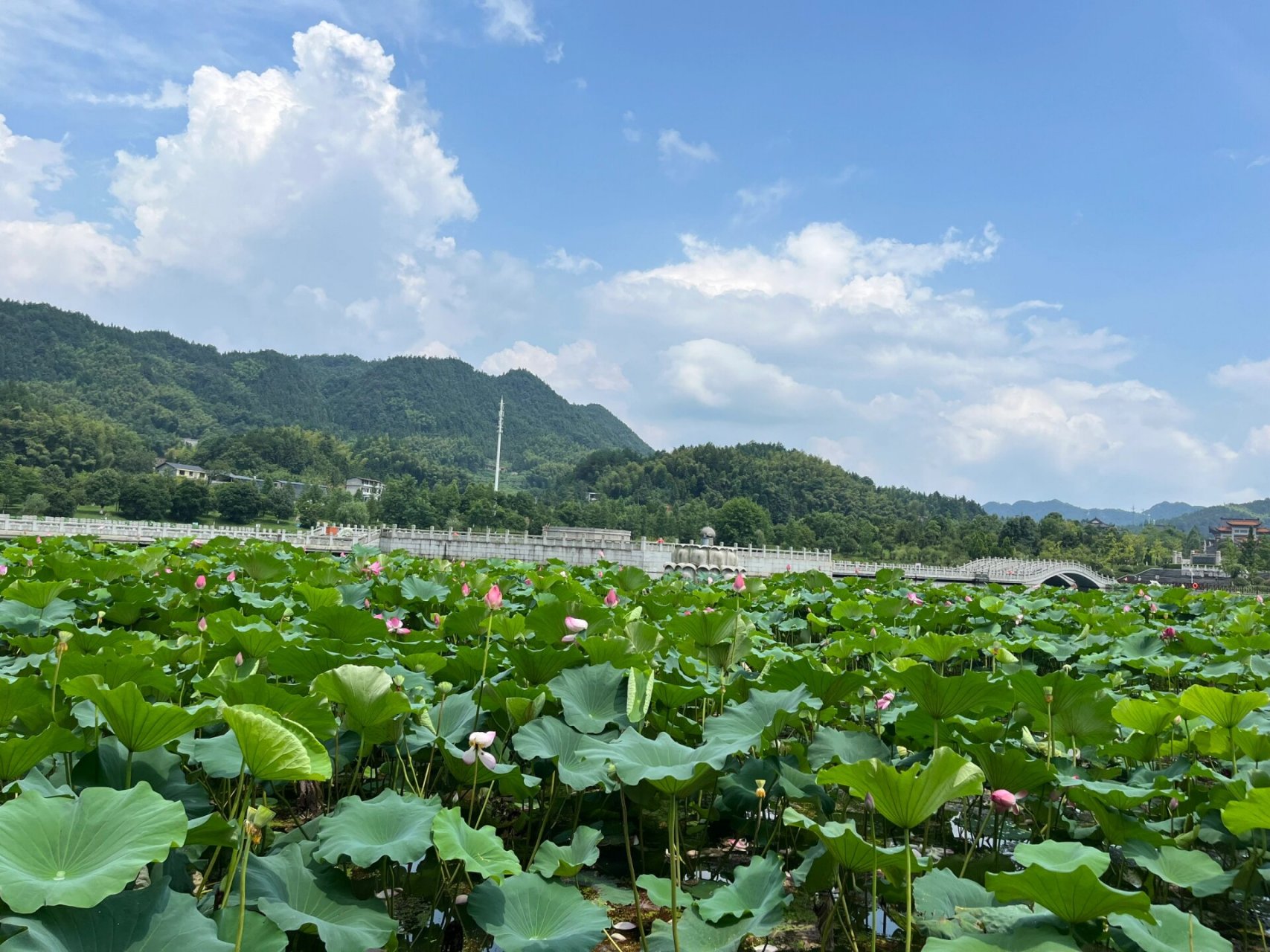 长沙周边沩山避暑一日亲子游,舒服 第一站:芦花瀑布,长沙梅溪湖开过去