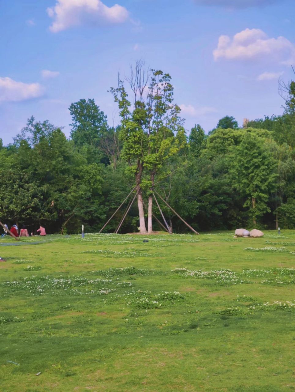 信阳旅游攻略 |  06羊山森林植物园 "在没有天花板的地方,大口吸氧"
