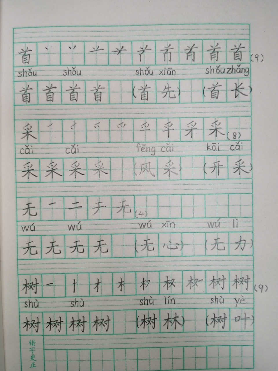 生字簿格式图片