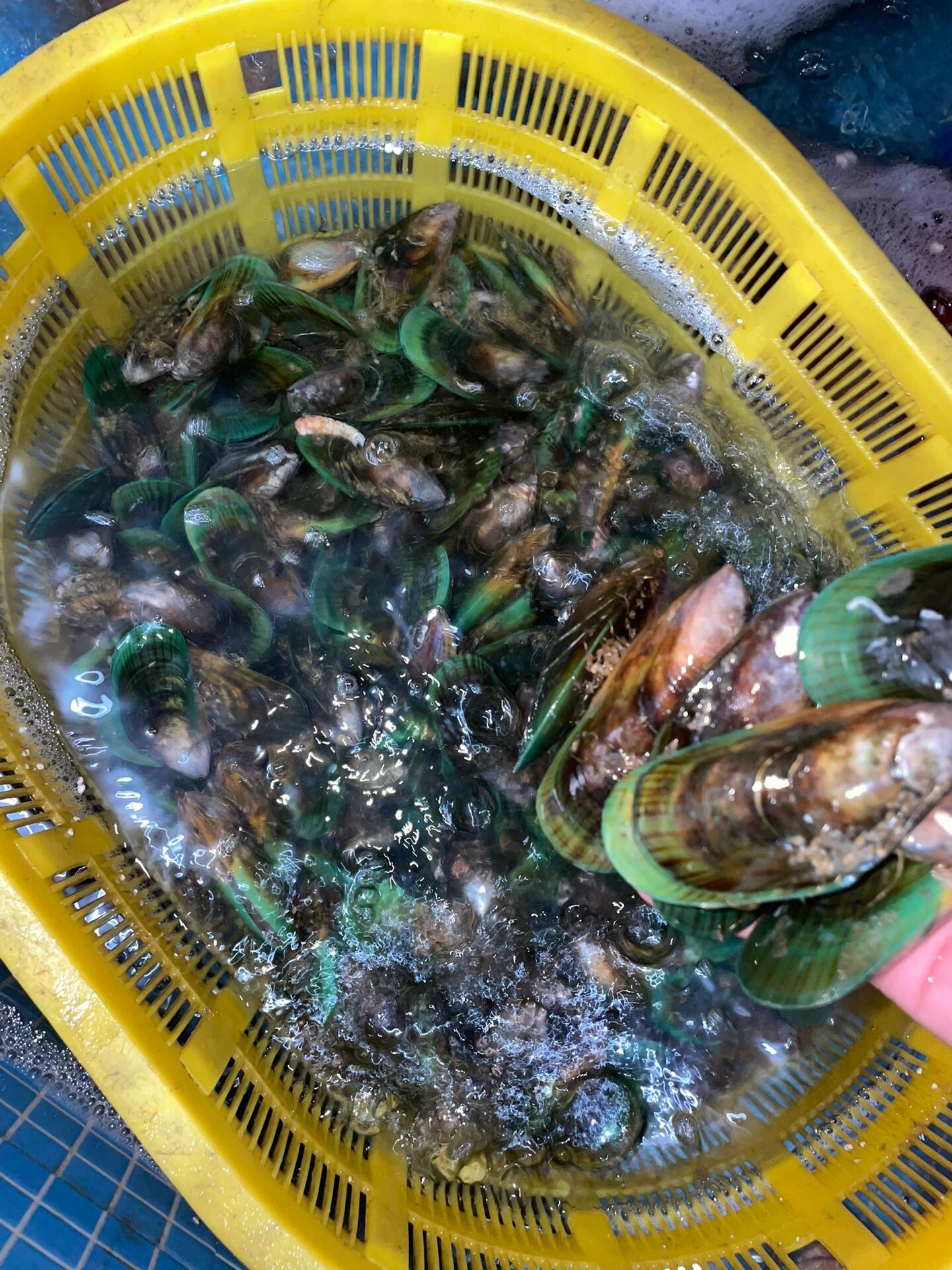 带壳的海鲜你知道多少?