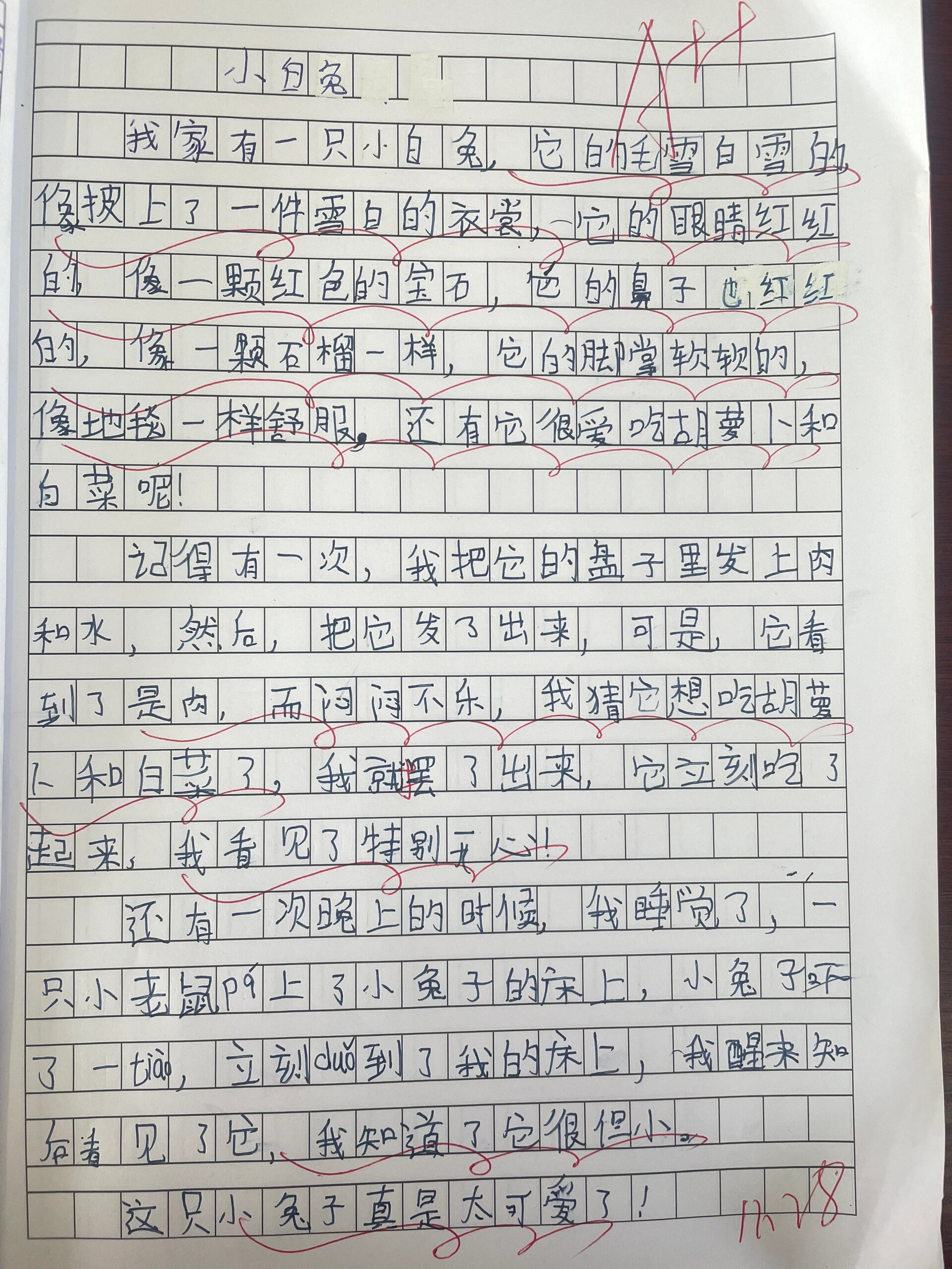 动物作文50字图片