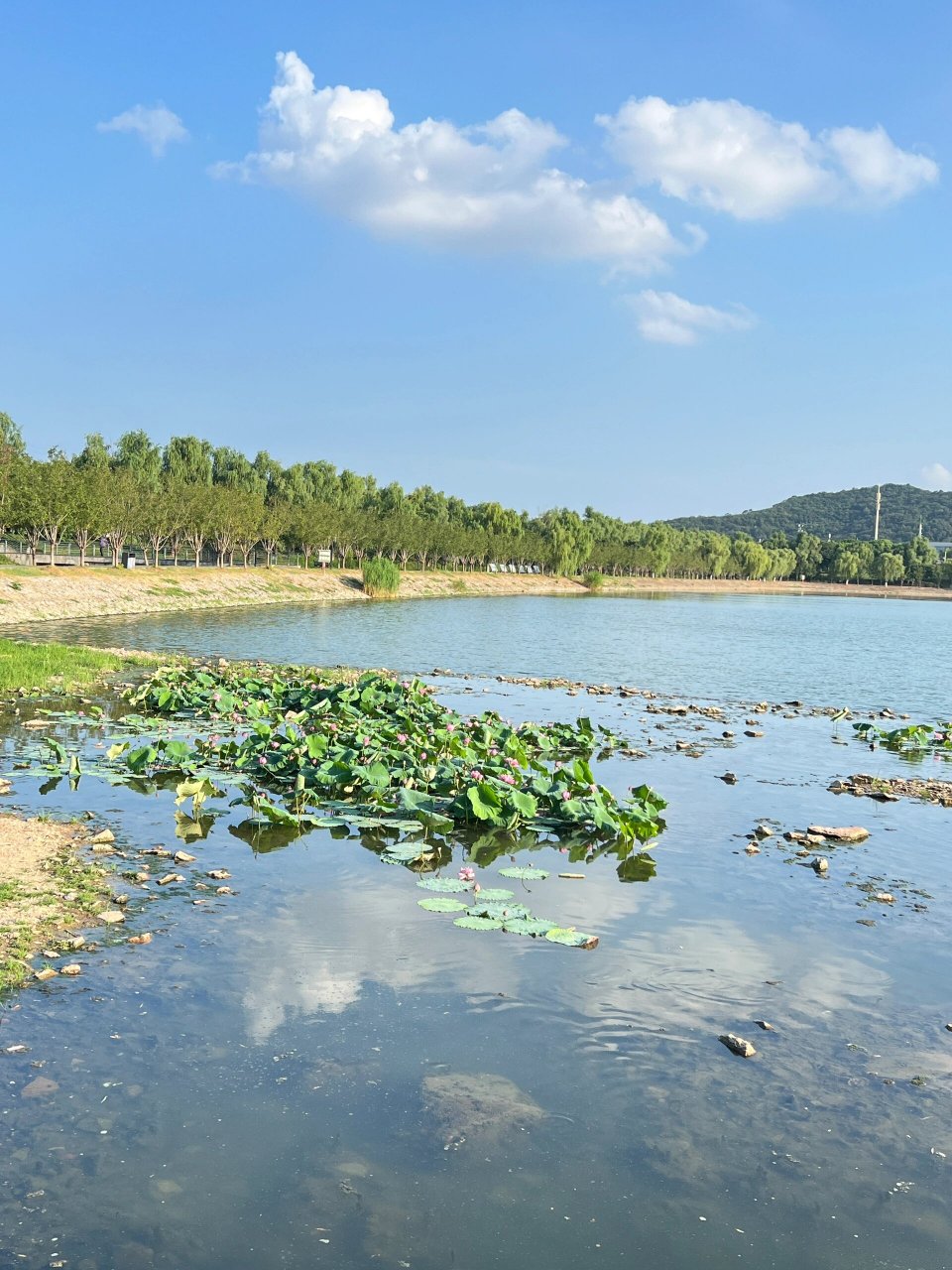 羊山休闲公园图片